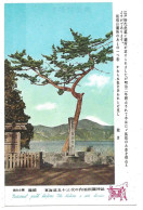 CPA   JAPON  TOKYO National Pack Hakone .non   Circulée   (1245) - Tokio