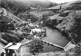 Galléliaure , Annonay * Bassin Nautique Du Centre De Nageurs * Dancing Baigneurs - Annonay