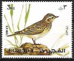 Fujeira - MNH ** 1972 :    Eurasian Skylark  -  Alauda Arvensis - Uccelli Canterini Ed Arboricoli
