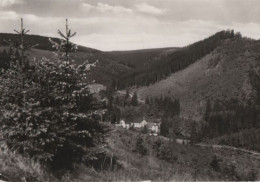 80553 - Friedrichroda - Kühles Tal Mit Schauenburg - 1982 - Friedrichroda