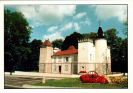 N°1177 Z -cpsm Le Château Des Panettes à Chavanoz- - Castles