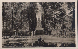 34312 - Potsdam - Sanssouci, Partie Im Park - Ca. 1950 - Potsdam