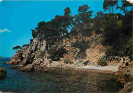 83 - Le Pradet - Village Vacances Familles - Vue D'ensemble Du Village - Au Loin Toulon Et Le Mont Faron - CPM - Voir Sc - Le Pradet