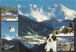 *CPM - 74 - CHATEL - Le Chablais Aux Portes Du Soleil - Multivues - Chiot St Bernard - Châtel