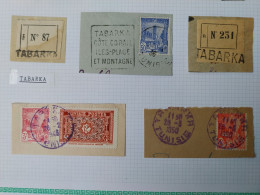 Tunisie Lot Timbre Oblitération Choisies Tabarka   Dont Fragment  Voir Scan - Used Stamps