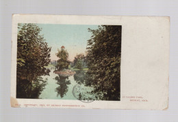 CPA - Etats-Unis - Palmer Park, Detroit, Mich. - Circulée En 1902 - Detroit