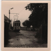 Tram - Antwerpen 1957 - Photo - & Tram - Treni