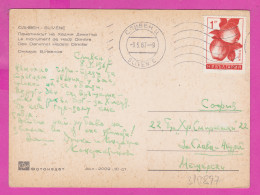 310897 / Bulgaria - Sliven - Monument Hadzhi Dimitar (revolutionary) PC 1967 USED 1 St. Apple Fruit , To Sofia Bulgarie - Frutta