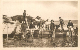 France Ile D'Oleron Embarquement D'huitres Dans Le Viviers - Pêche