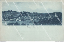 Bg310 Cartolina Zimone Panorama 1929 Provincia Di Vercelli - Vercelli