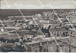 Cm457 Cartolina Bisceglie Panorama Provincia Di Bari Puglia - Bari
