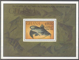 Ghana 1993 Yvertn° Bloc 222 *** MNH Cote 42 FF Faune Poissons Vissen Fish Rotary - Ghana (1957-...)