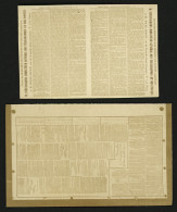 PIGEONGRAMME - SIEGE De PARIS :  Lot De 2 PIGEONGRAMMES. Superbe. - Guerra Del 1870