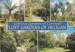 Lost Gardens Of Heligan - Multiview - Cornwall - Unused Postcard - Cor2 - Autres & Non Classés