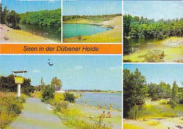 AK 212995 GERMANY - Dessau - Dübener Heide - Sonstige & Ohne Zuordnung