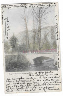56258  Au  Pont  De  Juzaine  Vallee  De  L'ourthe  Delfosse  13 - Durbuy
