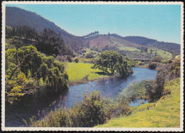 South Africa - Cape Province - Nice Landscape - Südafrika