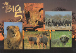 South Africa - The Big 5 - Nice Stamp "train" - Afrique Du Sud