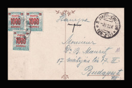 1924. Postcard From Italy With Postage Due Stamps - Briefe U. Dokumente