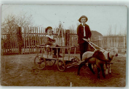 10672502 - Bollerwagen Wird Von Schafen Gezogen - Fotografia