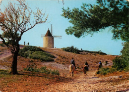 13 - Fontvieille - Le Moulin De Daudet - Chevaux - CPM - Voir Scans Recto-Verso - Fontvieille