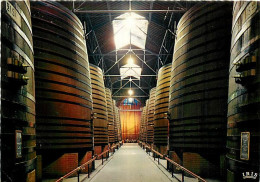Vignes - Thuir - Ets. C.D.C. Byrrh - Allée Centrale Du. Grand Chai Comprenant 70 Cuves - Carte Dentelée - CPSM Grand For - Vines