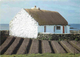 Irlande - Irish Thatched Cottage And Potato Lazy Beds - 602 - Irish Country Life Card - CPM - Voir Scans Recto-Verso - Other & Unclassified