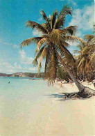 Antilles - Plage Et Cocotiers - Carte Neuve - CPM - Voir Scans Recto-Verso - Otros & Sin Clasificación