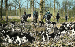 Animaux - Chevaux - Chasse à Courre - Chiens - Chasse En Forêt - L'HalIali - CPM - Voir Scans Recto-Verso - Chevaux