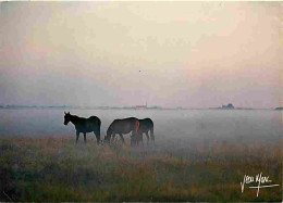 Animaux - Chevaux - Chevaux Au Petit Matin - Brume - Brouillard - CPM - Voir Scans Recto-Verso - Chevaux