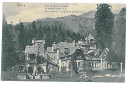 RO 74 - 14645 SINAIA, Castle Royal Guard, Romania - Old Postcard - Unused - Rumänien