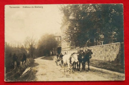 CPA 1914 Tervueren Château De Stolberg. Attelage, Boeuf, Chevaux - Tervuren