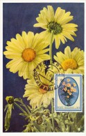 ITALIE Carte Maximum - Marguerites - Cartes-Maximum (CM)