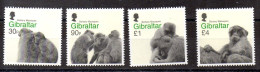 Gibraltar Serie Nº Yvert 1995/98 ** - Gibilterra