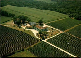 N°1209 Z -cpsm Domaine De Paguy -Betbezer D'Armagnac- - Viñedos