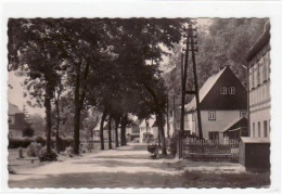 39033502 - Rechenberg - Bienenmuehle Mit Hauptstrasse Gelaufen Von 1960. Gute Erhaltung. - Rechenberg-Bienenmühle