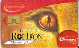 France: France Telecom 07/04 F1335A Disney, Le Roi Lion - 2004