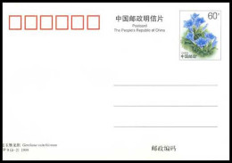 China - Postkaart - Gentiana Veitchiorum              - Maximumkaarten