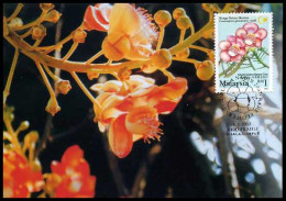 Maleisië - Maximumkaart -  Courouptia Guianensis             - Malaysia (1964-...)