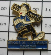 1618B  Pin's Pins / Beau Et Rare / MUSIQUE / AMICALE DE L'ACCORDEON HAGUENAU - Musique