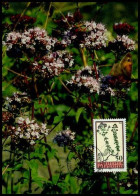 Liechtenstein - MK - Bloemen                                 - Cartes-Maximum (CM)