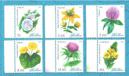 2024 , Moldova , Wild Flowers, Flora, 1 Set, MNH - Moldavie