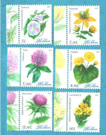 2024 , Moldova , Wild Flowers, Flora, 1 Set, MNH - Moldova