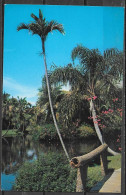 Florida, Sarasota, Jungle Gardens, Unused - Sarasota