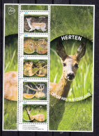 Nederland Pesoonlijk: Op Safari In Nederland: Herten, Damhert, Edelhert, Ree, Fallow Deer, Red Deer, Roe Deer, - Nuovi