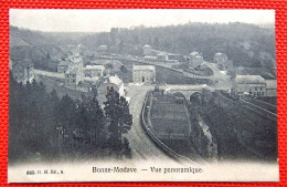 BONNE - MODAVE  -  Vue Panoramique - Modave