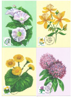 2024 , Moldova , Wild Flowers, Flora, Set 6 Maxicards - Moldavie