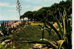 Tarragona Cambrils Playa De Vilafortuny - Tarragona