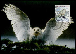 Groenland - FDC - Uil (owl)                                  - Andere & Zonder Classificatie