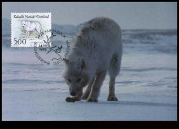 Groenland - MK - Honden                                        - Other & Unclassified